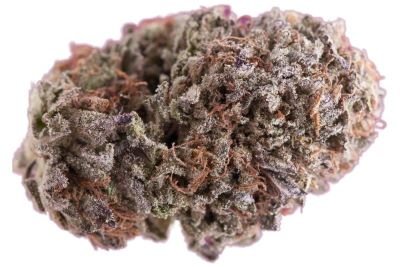 PURPLE KUSH